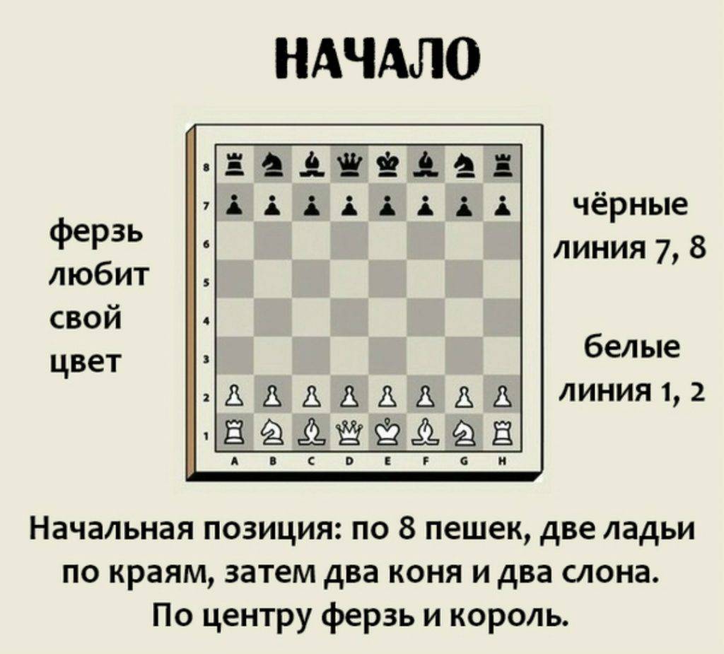 Как научиться играть в шахматы ♟️ - полный обзор фигур, ♟️правил и тактик