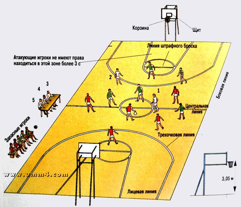 Правила игры в баскетбол: кратко по пунктам – основные правила игры в баскетбол, кратко