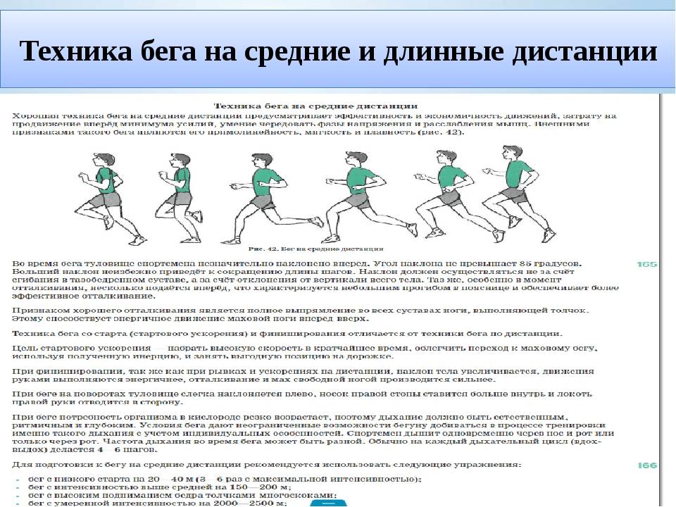 Бег на длинные дистанции
