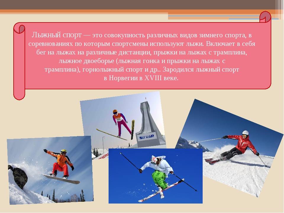 Лыжники текст. Лыжный спорт. Все виды лыжного спорта. Информация про лыжи. Виды спорта лыжный спорт.