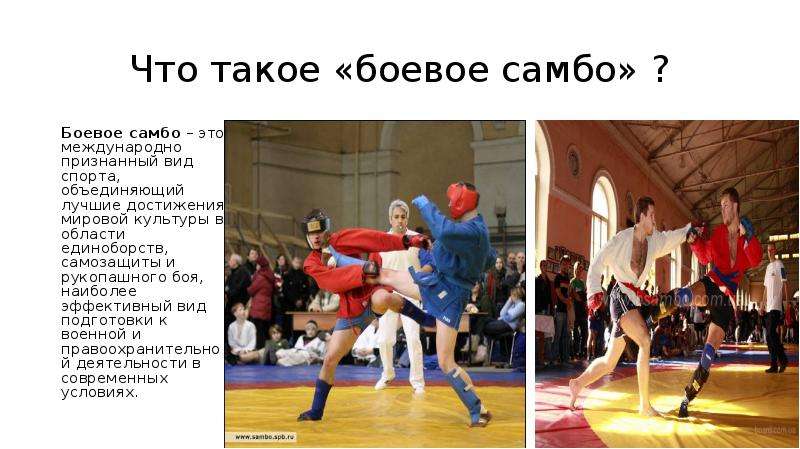 4.2. виды спортивной и национальной борьбы