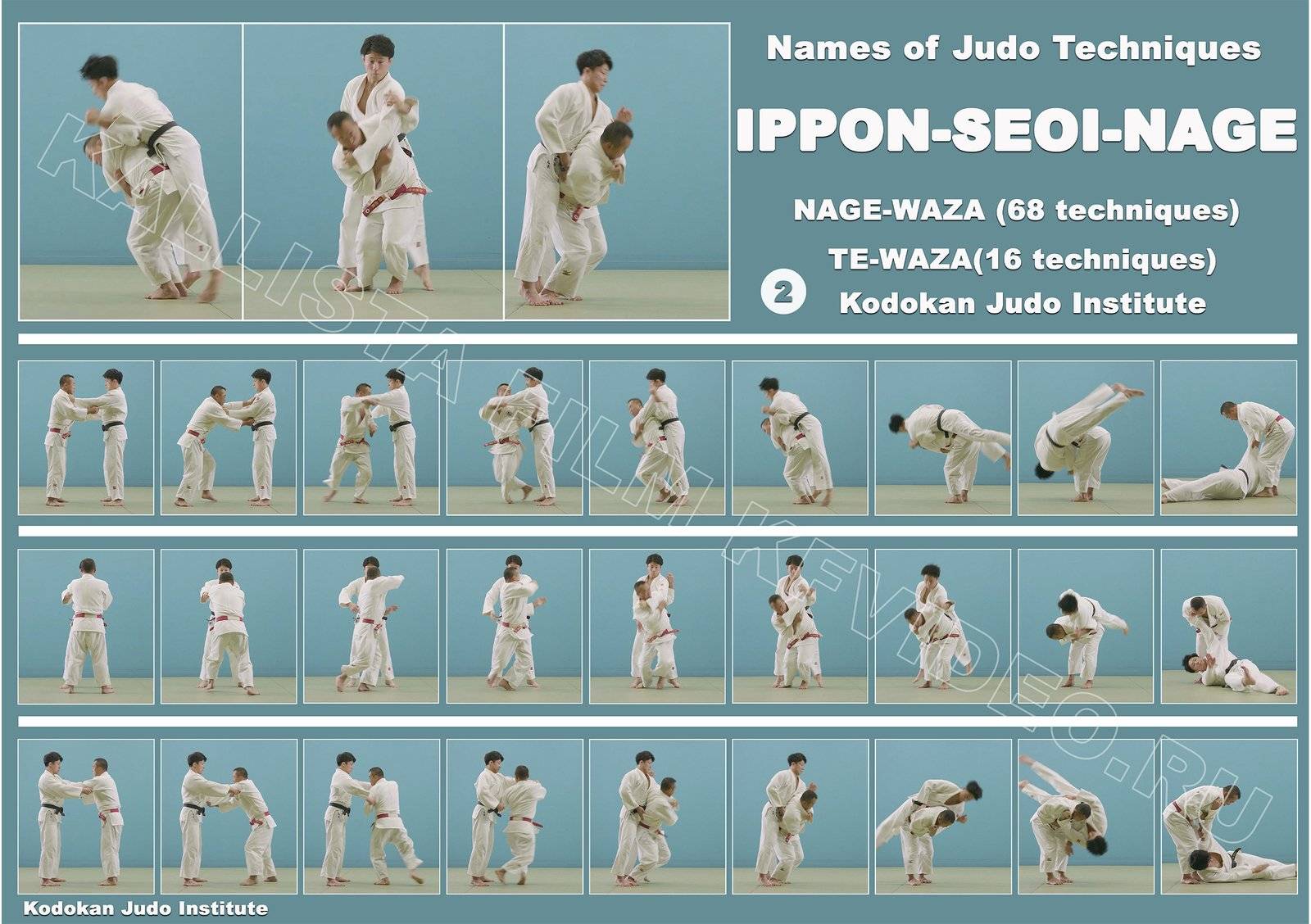 Tai Otoshi дзюдо