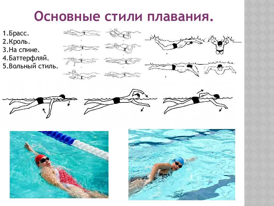 Плавание и мышцы тела. Кроль плавание стили плавания. Техники плавания брасс Кроль Баттерфляй. Стиль плавания Баттерфляй техника. Баттерфляй спина брасс Кроль.