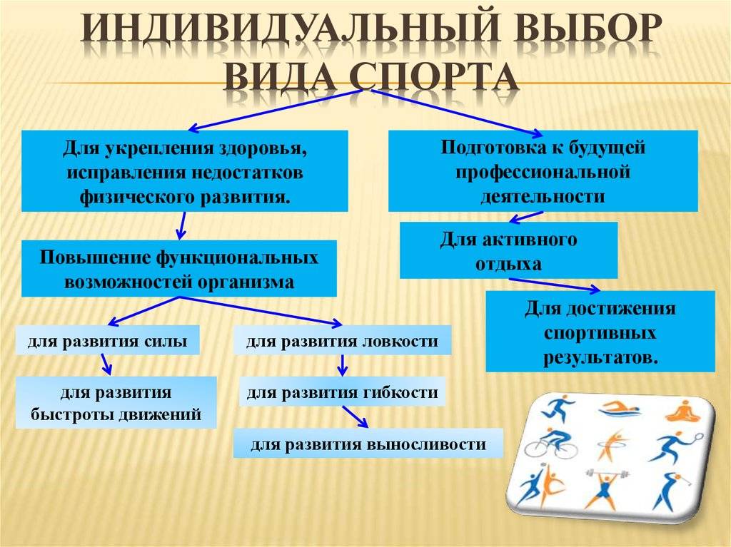 Программа развития вида спорта в регионе образец