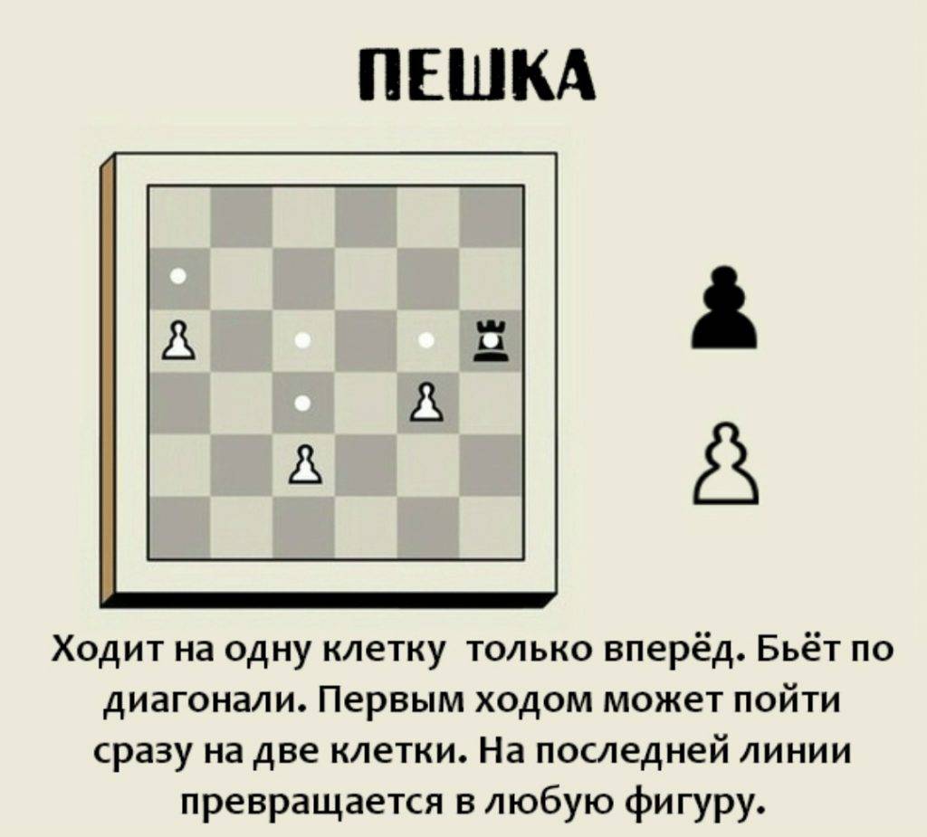 Как научиться играть в шахматы