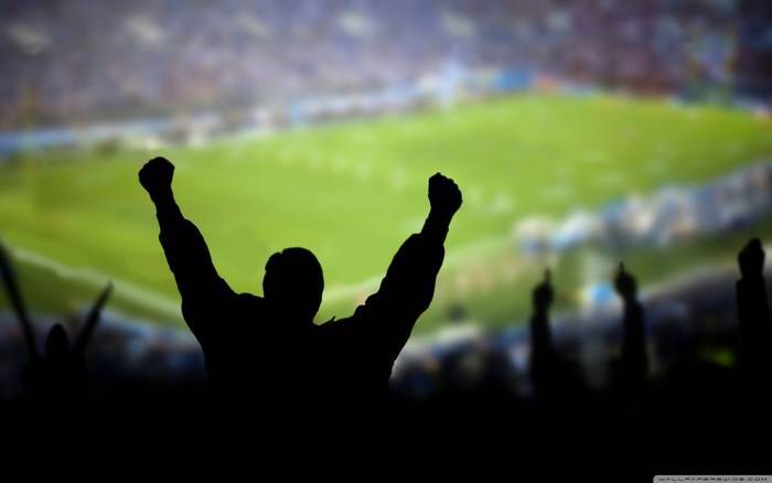 Футбольные хулиганы и фанаты: субкультура футбольных болельщиков
