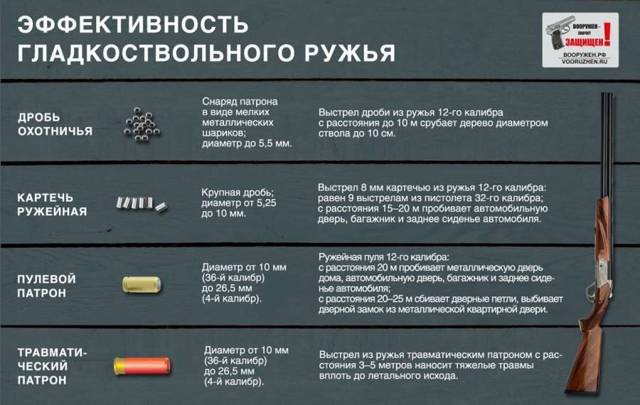 Выбираем первое ружье для охоты | какое ружье выбрать новичку