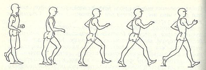 Спортивная ходьба рисунок