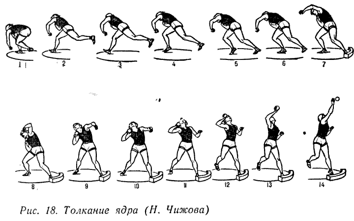 Протокол толкание ядра образец