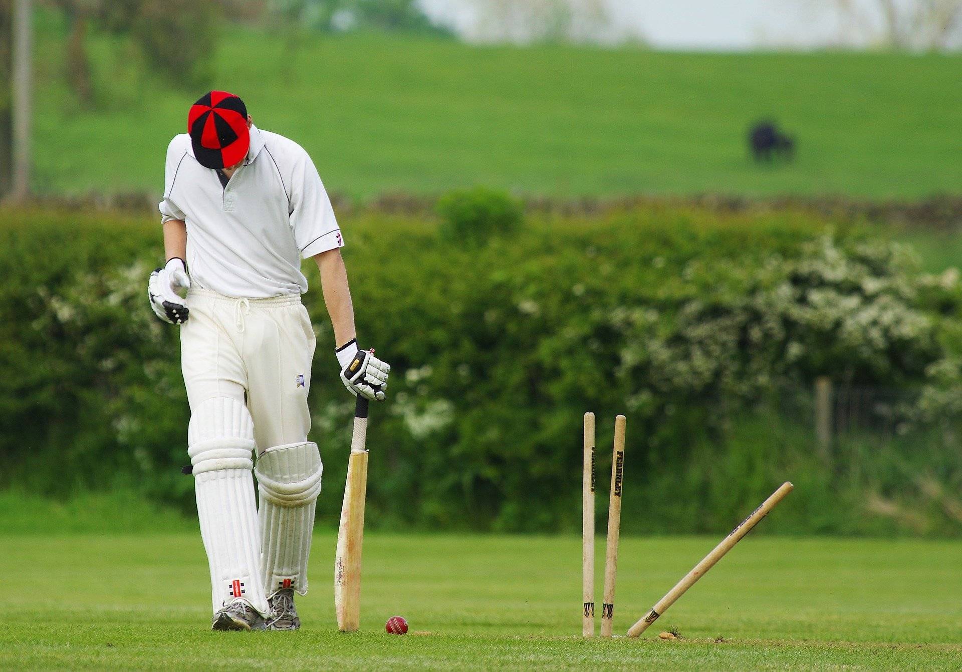 Европейский совет по крикету - european cricket council