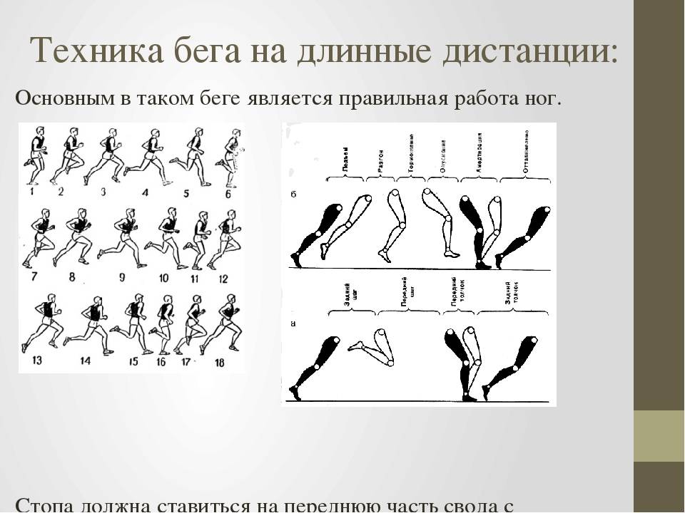 План конспект бег на длинные дистанции