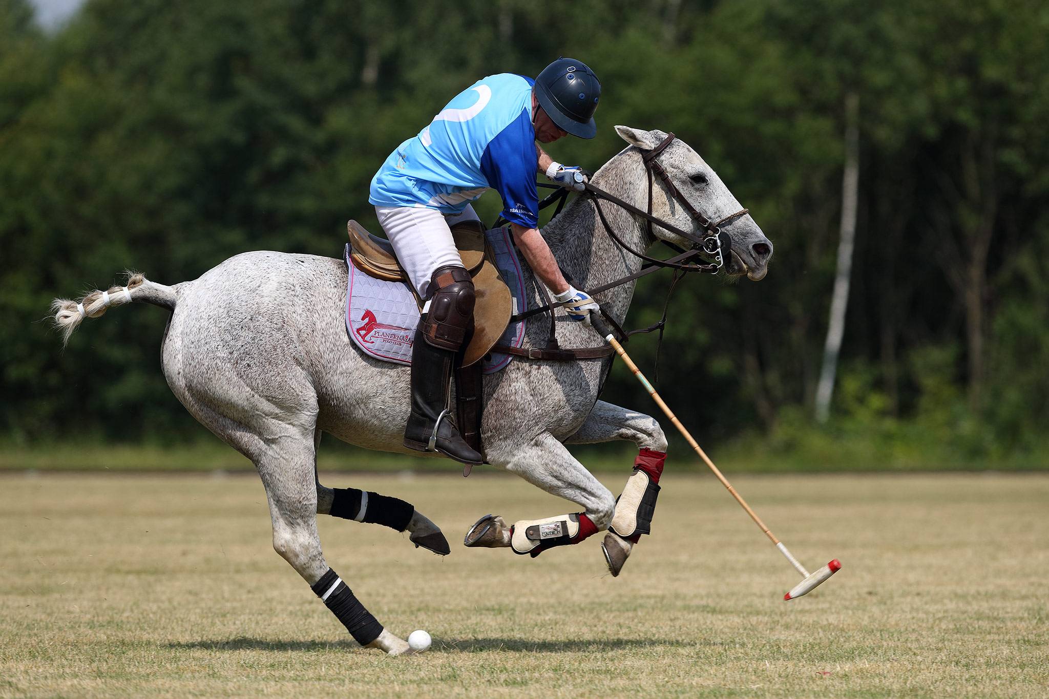 Polo Sport поло