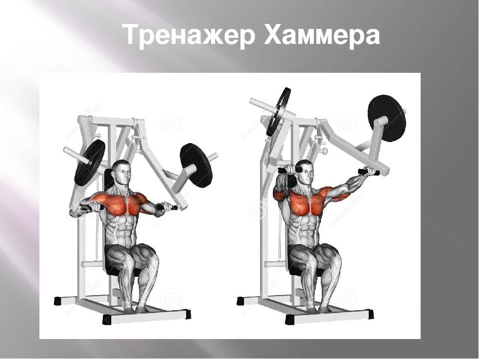 Сведение рук в тренажере бабочка для грудных мышц сидя: какие мышцы работают? правильная техника выполнения