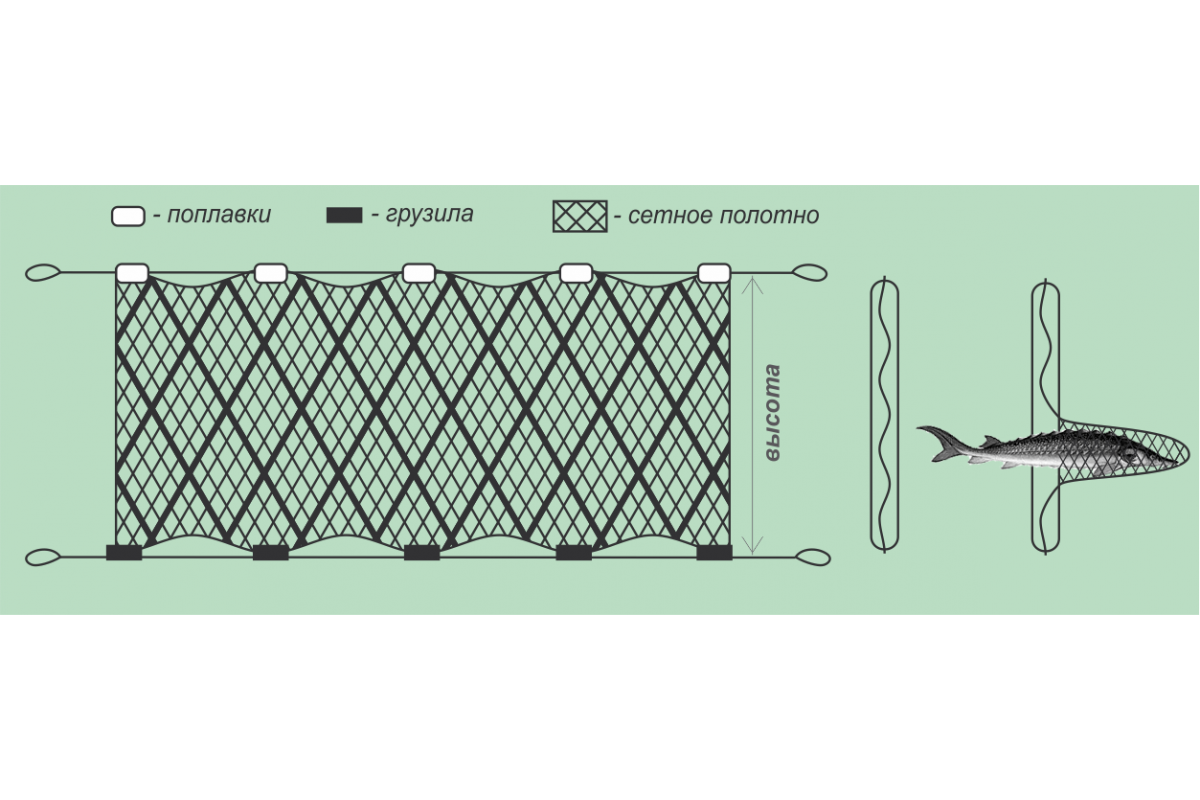 Сеть высота 1 метр. Капроновая сеть ячея 45 мм. Ячейка сетки рыболовной 30 мм. Размер ячейки сетки для рыбалки. Рыболовные ячейки Размеры.