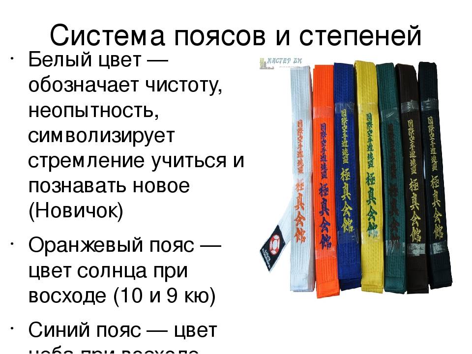 Цвета поясов в карате. Пояса карате по порядку цвета киокушинкай. Очередность поясов в карате. Пояса в каратэ киокушинкай. Цвета поясов каратэ киокушинкай.