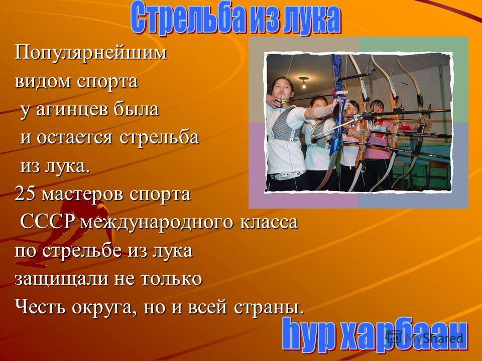 Стрельба из лука