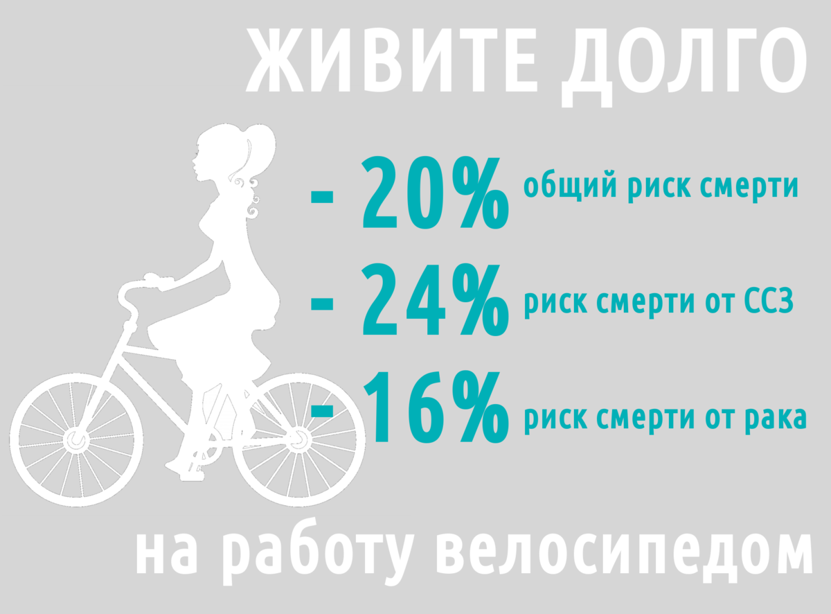 Велосипед польза и вред для мужчин. Влияние велосипеда на здоровье человека. Польза велосипеда. Велосипед и здоровье. Велосипед и мужское здоровье.