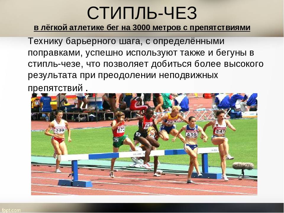 Виды бега