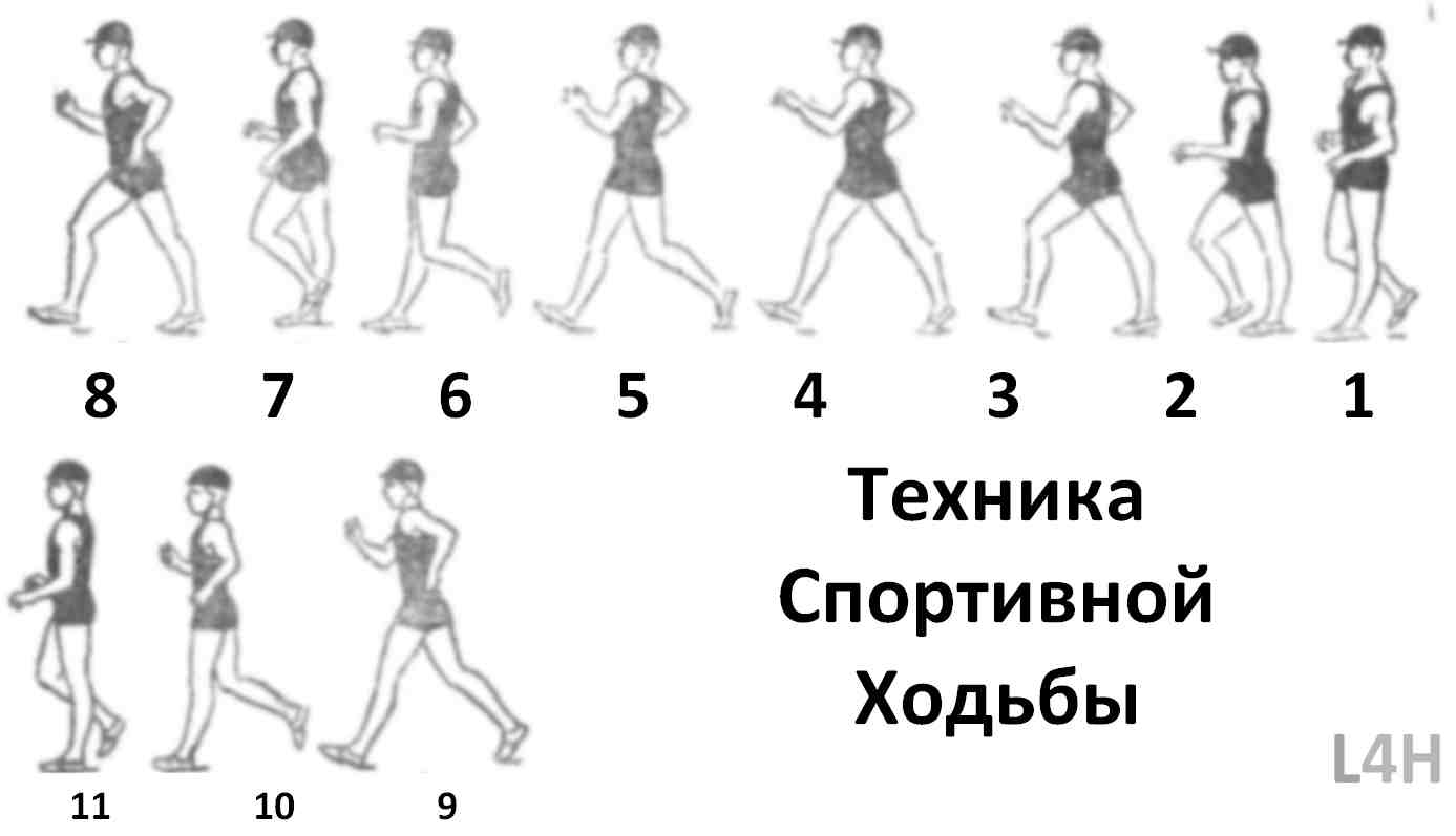 3 основы техники спортивной ходьбы и бега - студизба