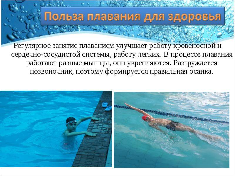Лекция. "материально-техническое обеспечение физической культуры и спорта": лекция №4