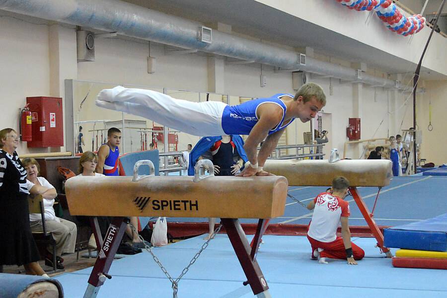 Конь акробатика. Акробатические снаряды. Гимнастический снаряд конь. Спортивная гимнастика конь. Спортивные снаряды в спортивной гимнастике.