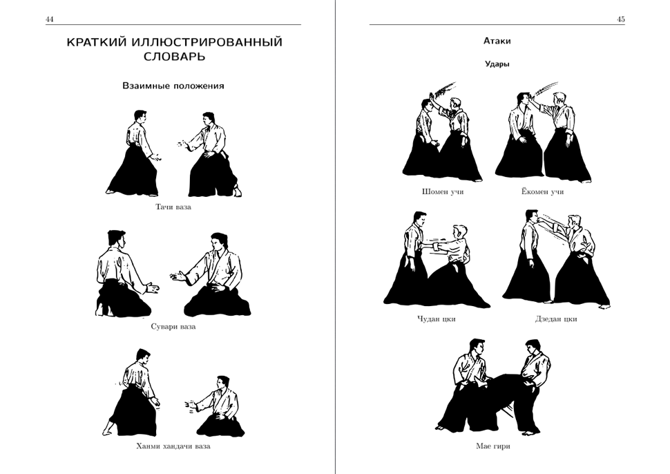 Что такое айкидо