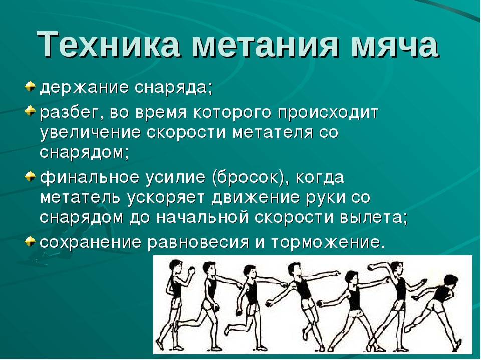 Напреев сергей 	 |
 точно в цель | журнал «спорт в школе» № 17/2009