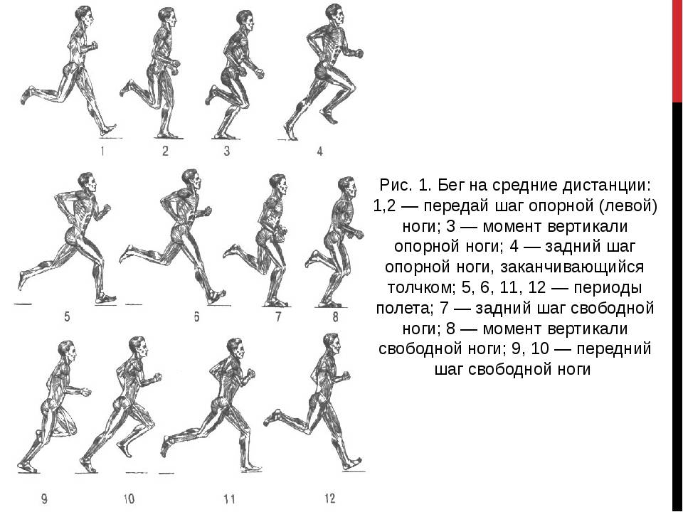 Техника бега для начинающих в картинках