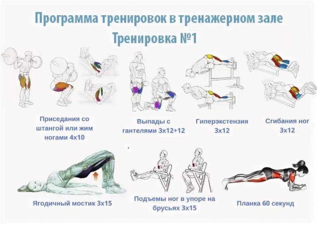 Упражнения для похудения в тренажерном зале для женщин и мужчин - программа тренировок с видео