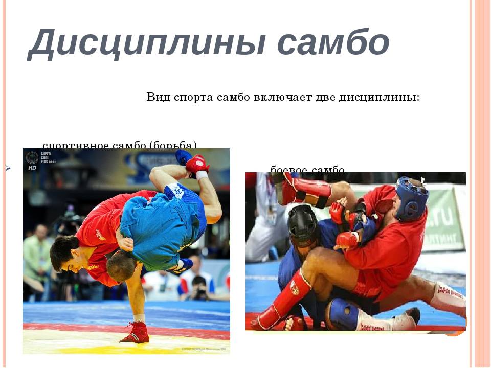 Почему самбо гордость российского спорта. Самбо. Самбо вид спорта. Самбо национальный вид спорта. Дисциплина самбо.