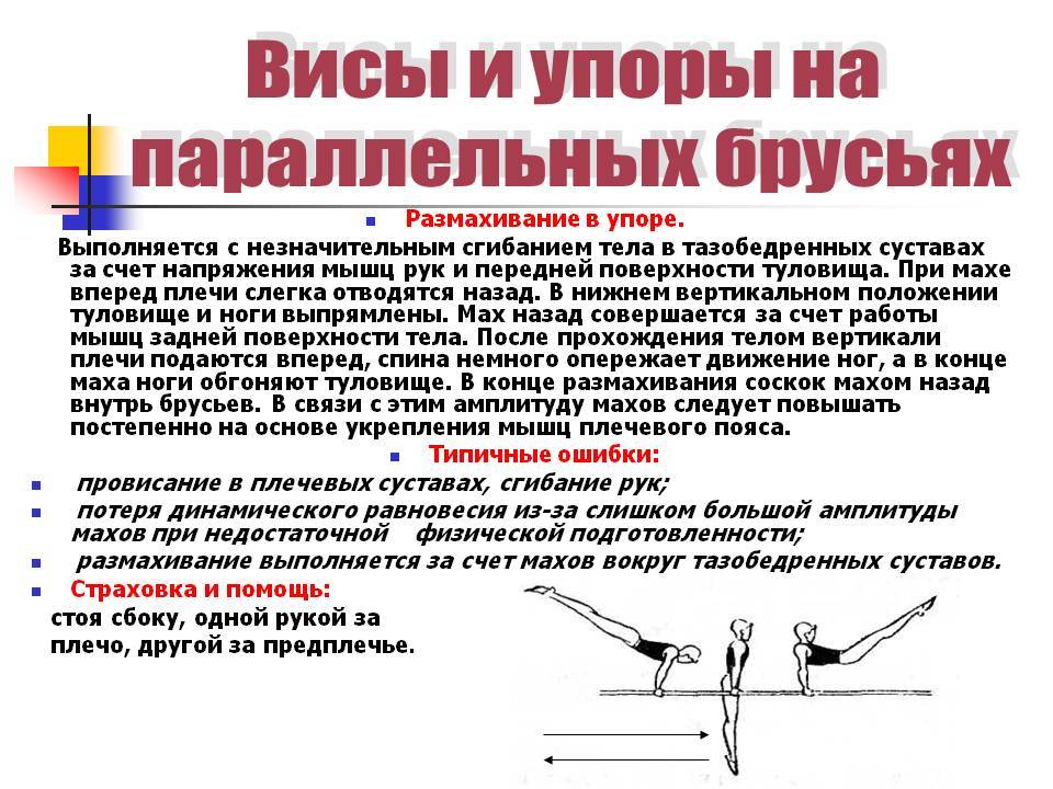 Упражнения на брусьях: какие мышцы работают + программа тренировок