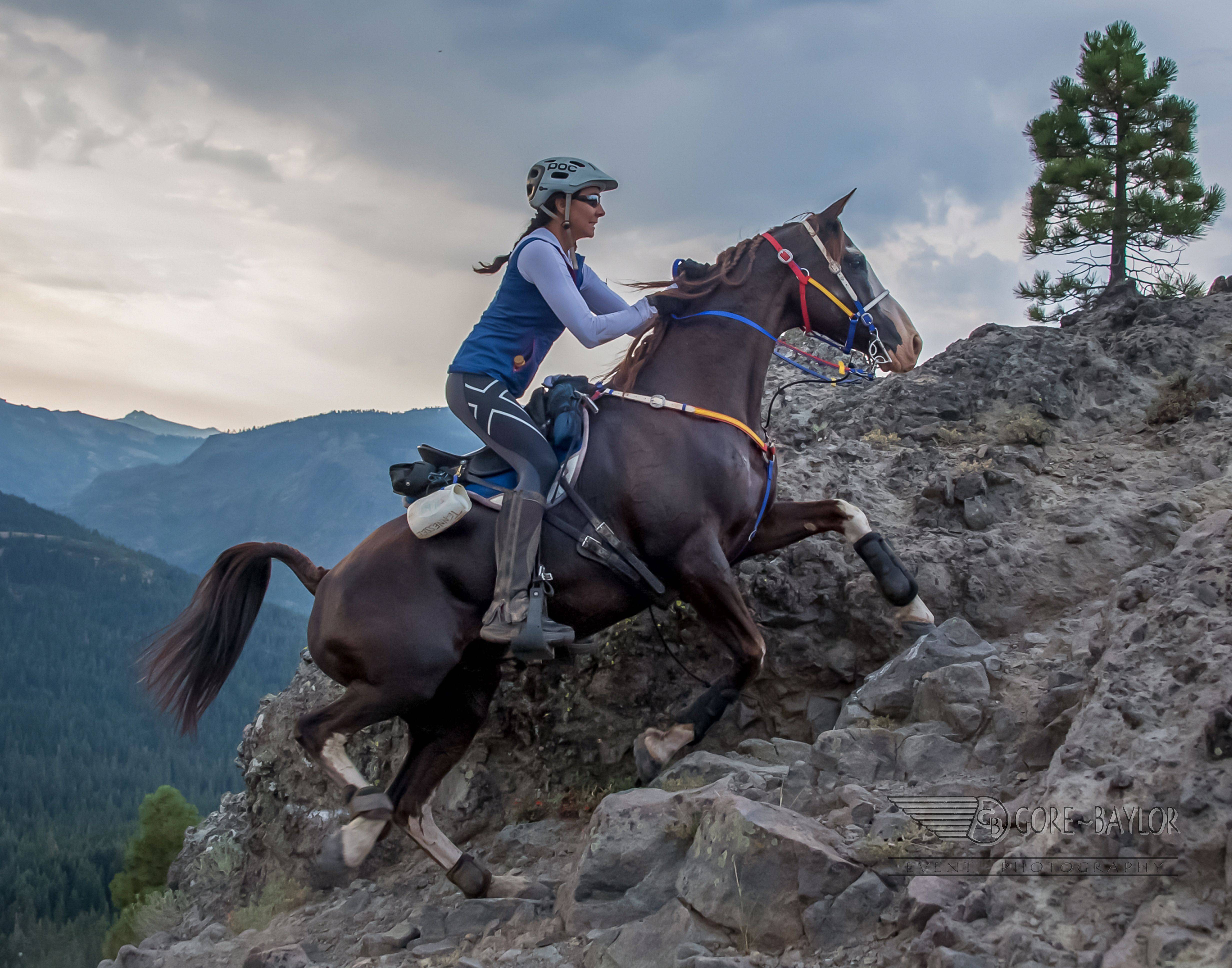 Start ride. Лошади в горах. Конный спорт. Фотосессия с лошадьми в горах. Езда на лошадях в горах.