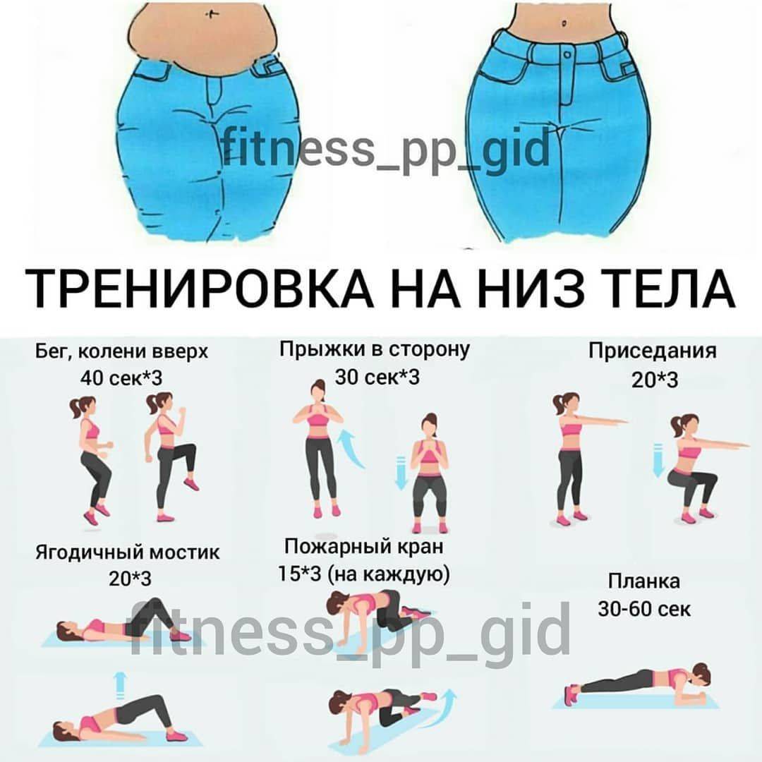 Круговая тренировка для девушек дома для сжигания жира: для начинающих женщин в домашних условиях на жиросжигание и похудение