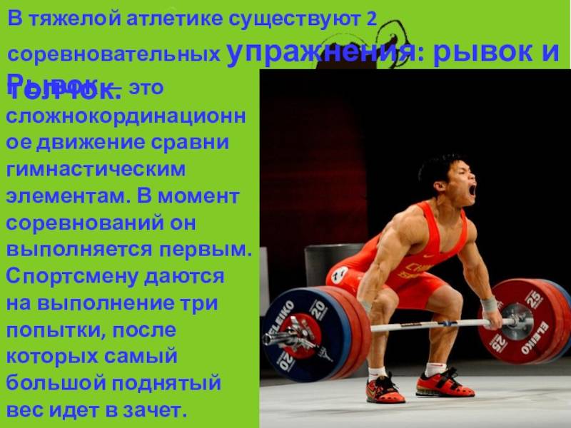 Тренировка штангиста: подготовительный этап, цикл новичка и программа тренировок для разрядников