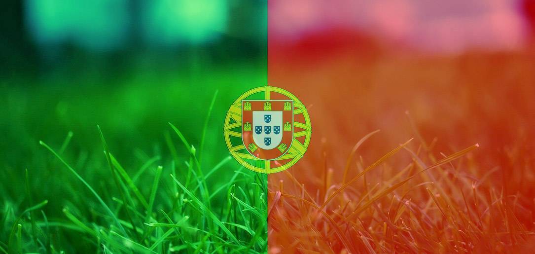 Чемпионат португалии по футболу