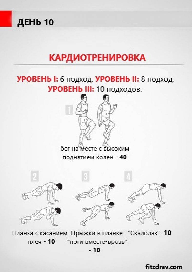 Топ-20 кардиотренировок, которые приведут вас в форму