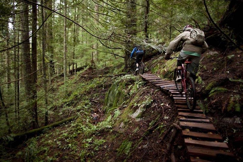 Что такое bmx велосипед и его особенности | новичкам | veloprofy.com