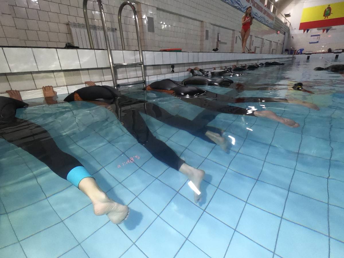 Плавание в ластах - finswimming - abcdef.wiki