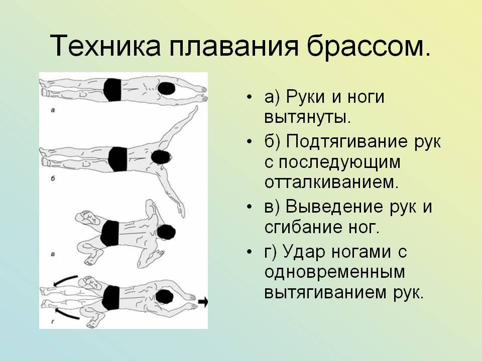 Все виды плавания: описание техник и интересные факты