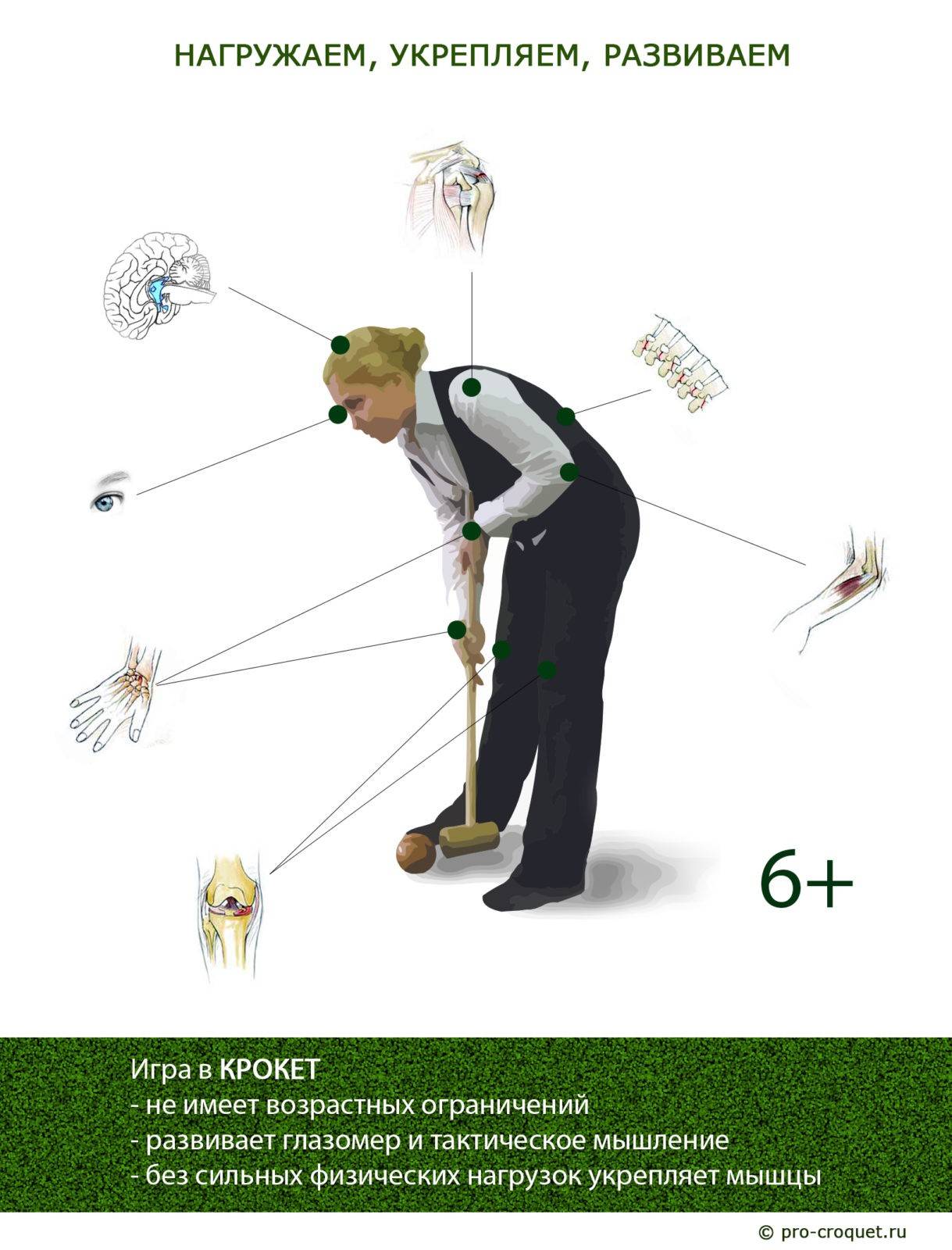 Правила игры в крокет. основные правила игры в крокет (the basic laws of association croquet), спортивные правила. rules croquet.