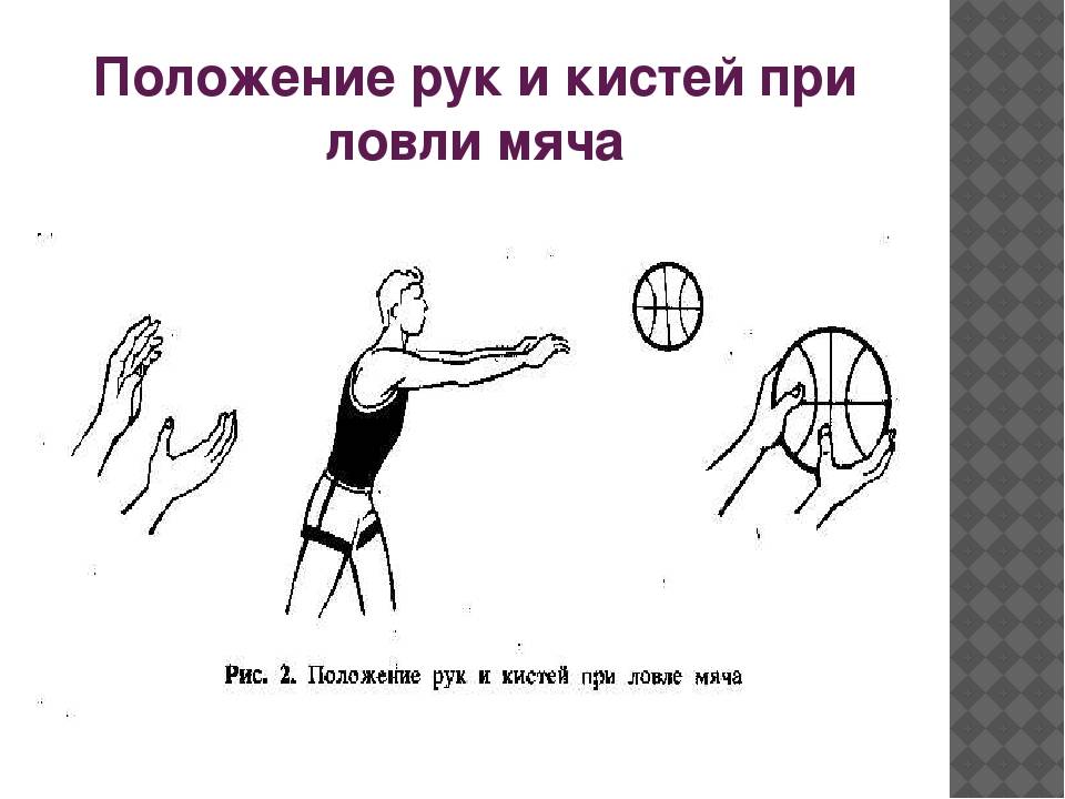 Ловля и передача мяча одной рукой. Техника ловли мяча в баскетболе. Техника передачи мяча двумя руками от груди.баскетбол. Техника передачи мяча в баскетболе. Передача мяча с отскоком в баскетболе.