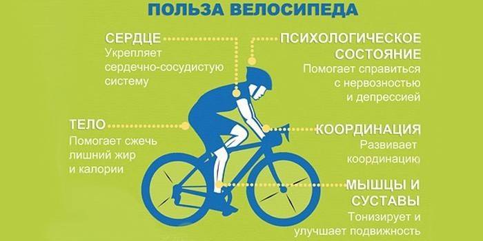 Велосипедный спорт — польза, вред, рекомендации