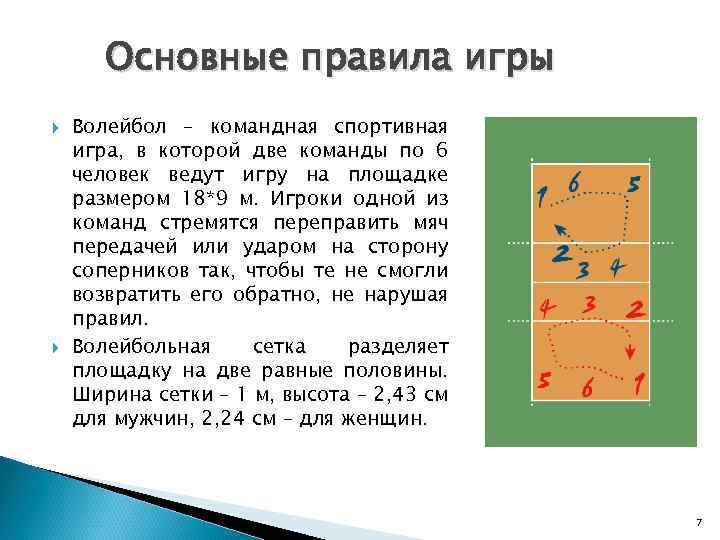 Правила игры в волейбол. глава 2. участники | здорова-narod.ru