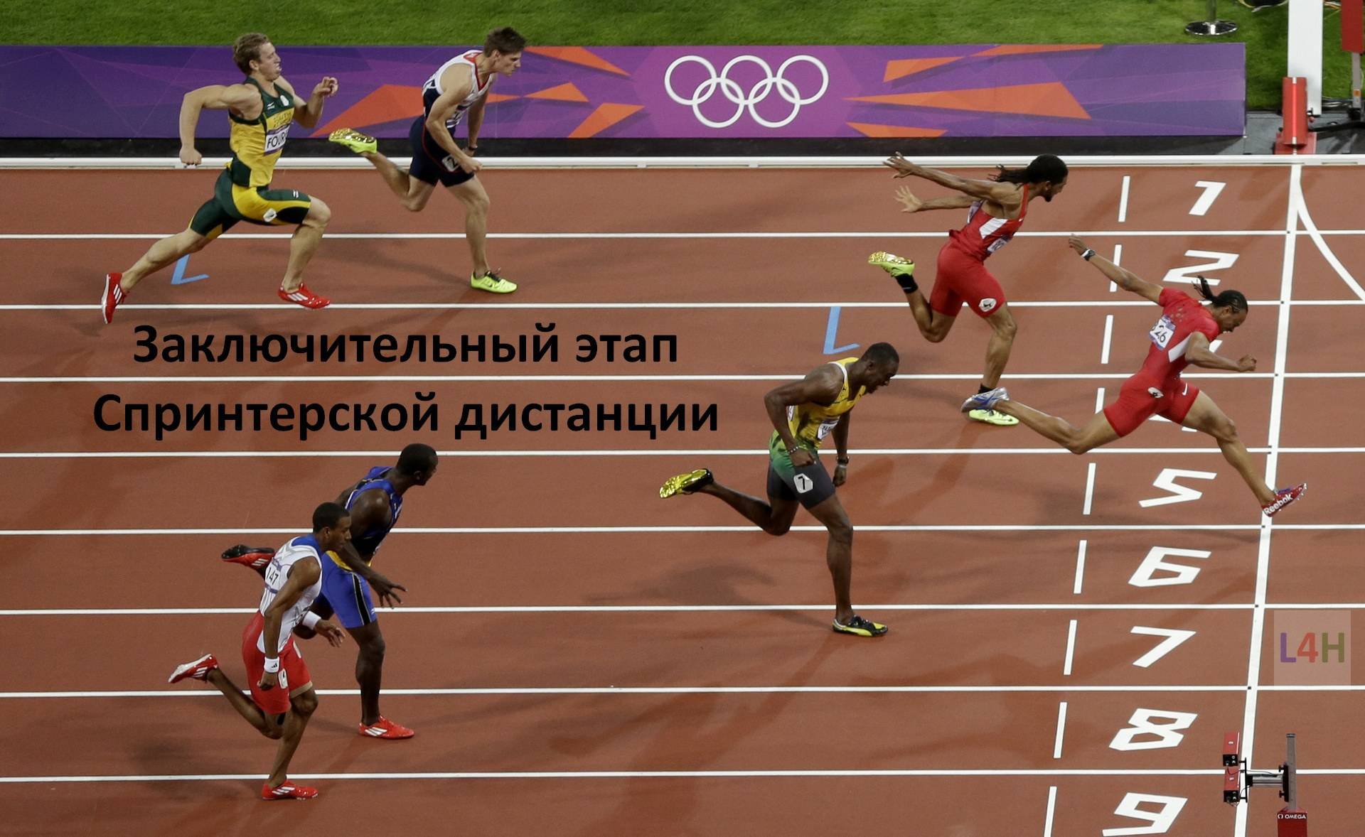 Реферат на тему: бег на короткие дистанции