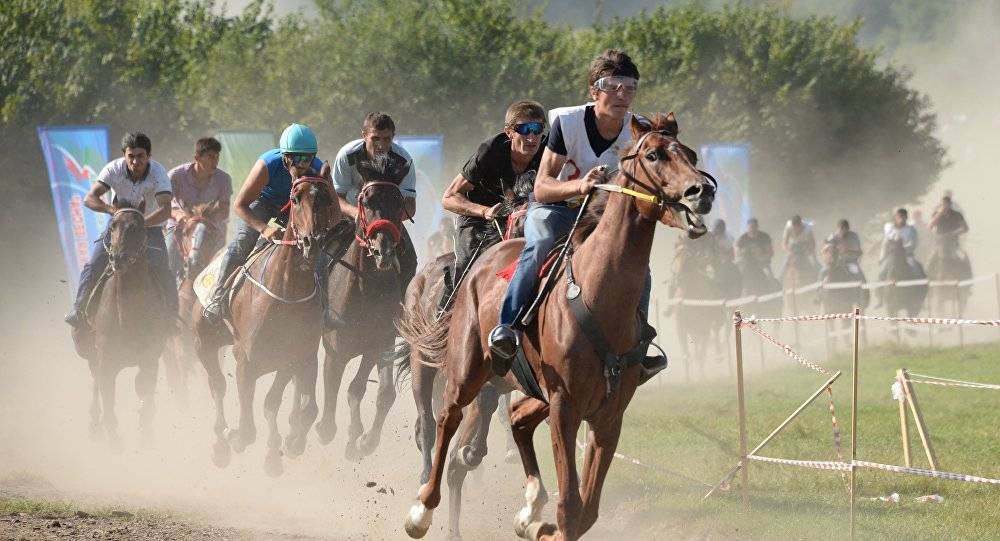 Конный спорт