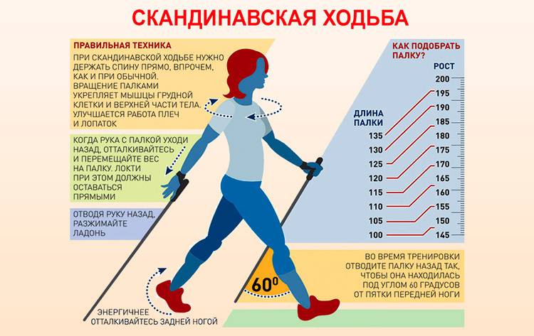 Как выбрать палки для скандинавской ходьбы – отзывы «ходоков» и таблица размеров