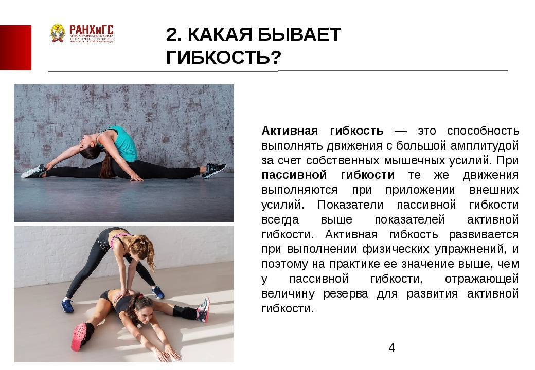 Стретчинг – что это такое и зачем нужна растяжка мышц