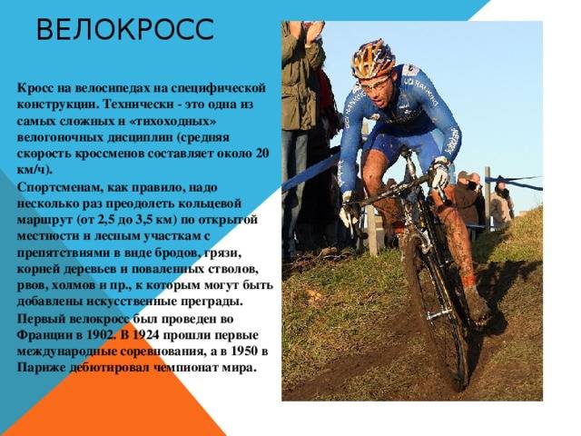 Кроссовый бег: дистанции, особенности, виды