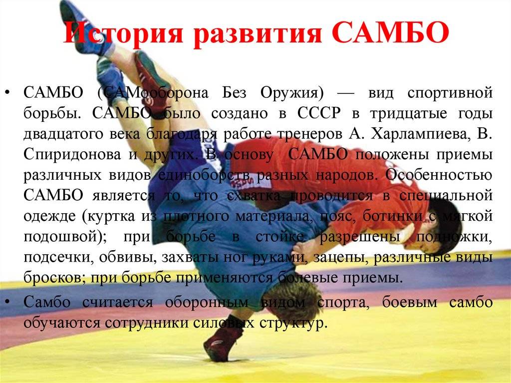 Почему самбо гордость российского спорта. Виды боевых искусств. Самбо приемы. Самбо вид борьбы. Спортивное самбо приемы.