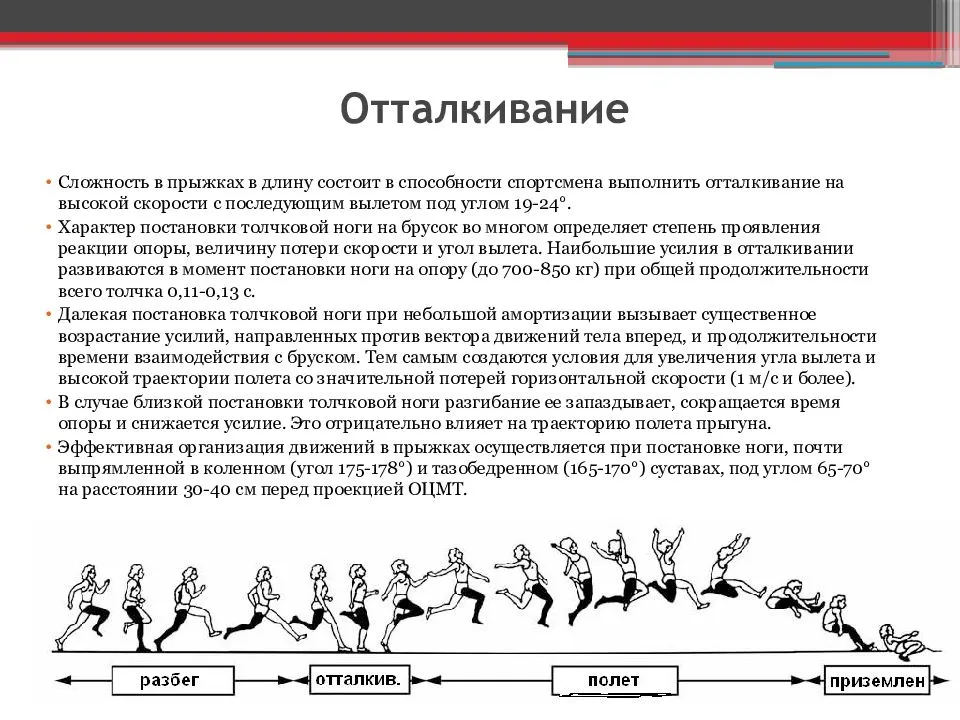Техника выполнения прыжка в длину с места, с разбега и тройного прыжка